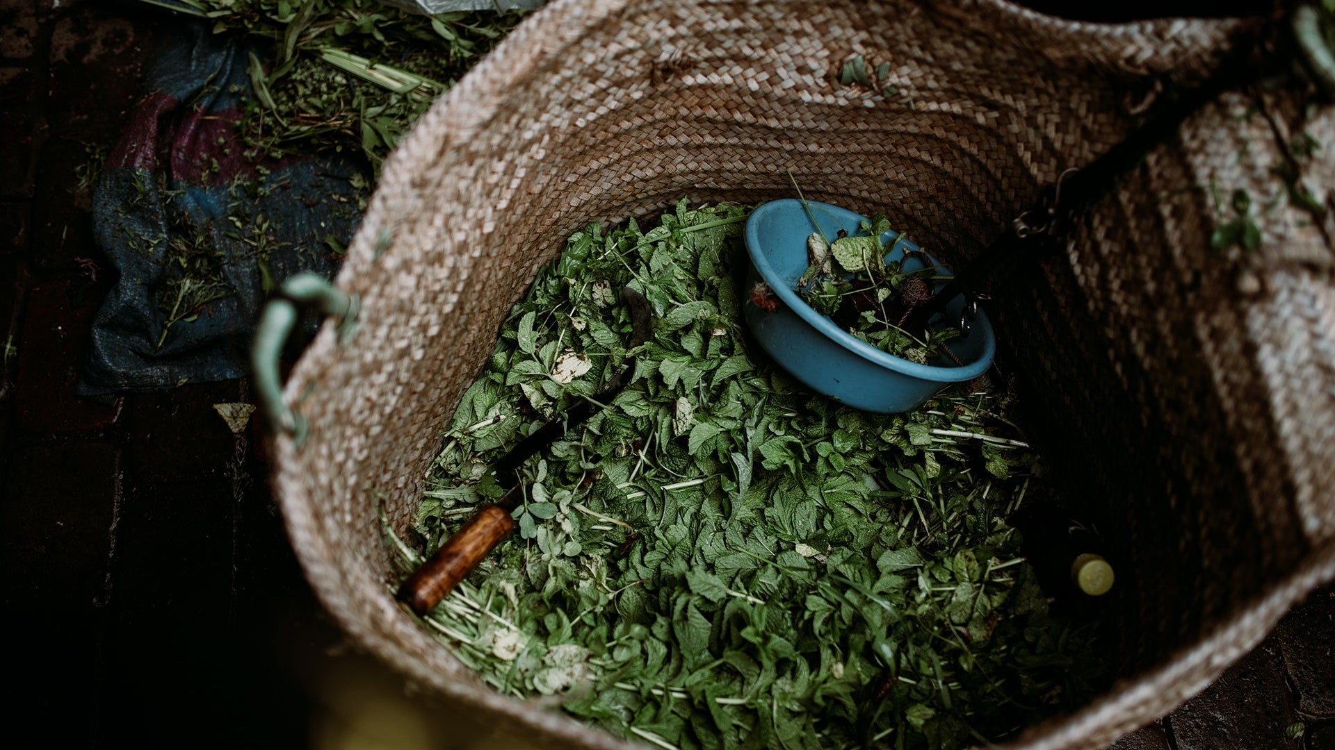 Was naturreine ätherische Öle sind – und warum sie den Duft verändern