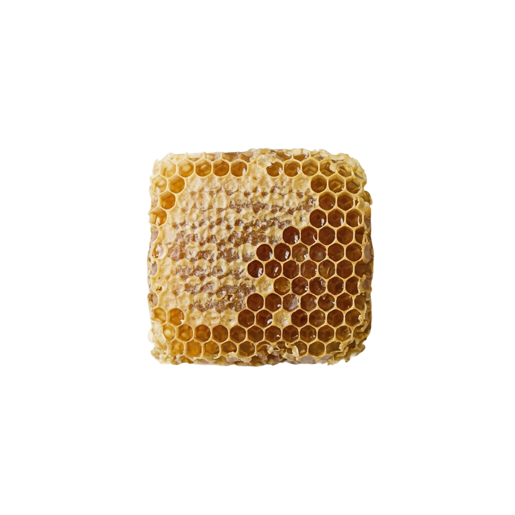 Beeswax honeycomb with honey